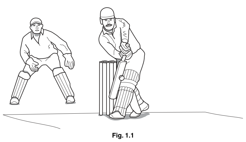 Fig. 1.1