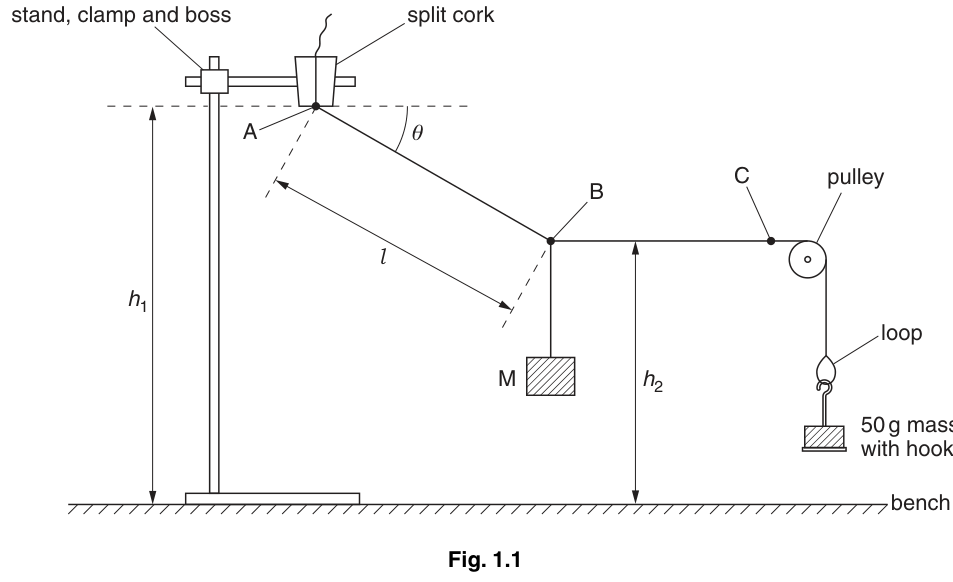 Fig. 1.1