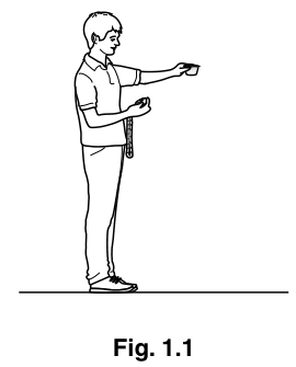 Fig. 1.1