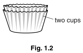 Fig. 1.2