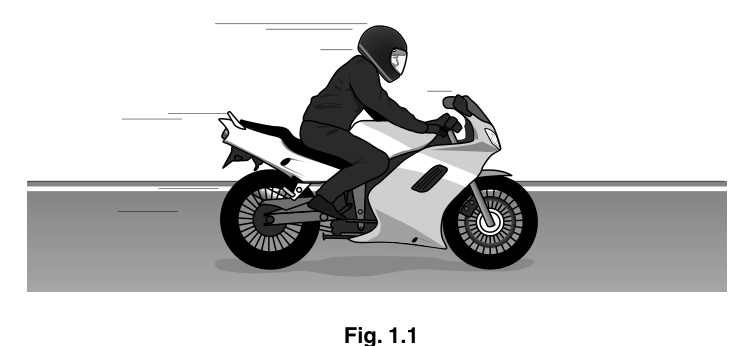 Fig. 1.1