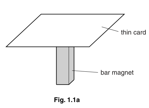 Fig. 1.1a