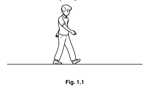 Fig. 1.1