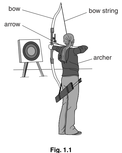 Fig. 1.1