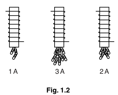 Fig. 1.2