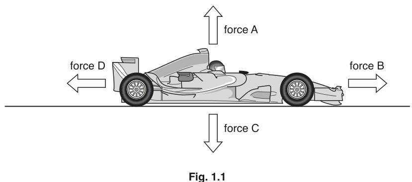 Fig. 1.1