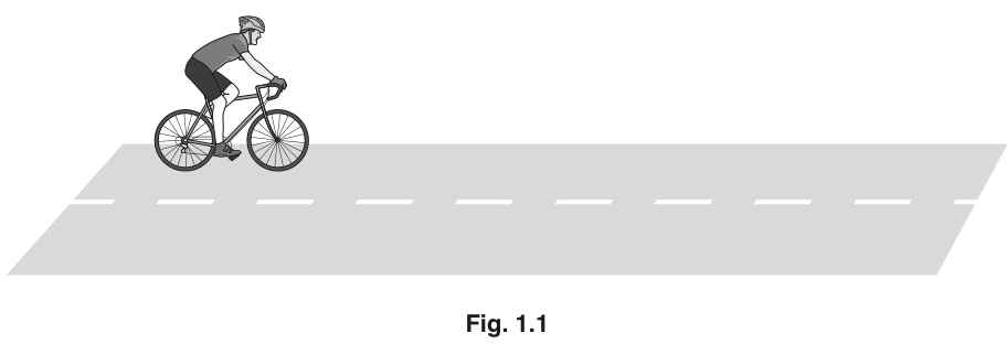 Fig. 1.1