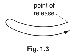 Fig. 1.3
