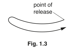 Fig. 1.3