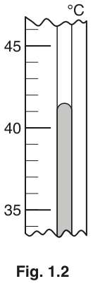 Fig. 1.2