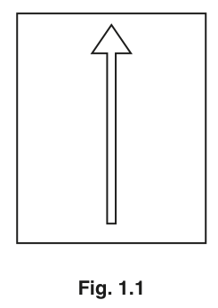 Fig. 1.1