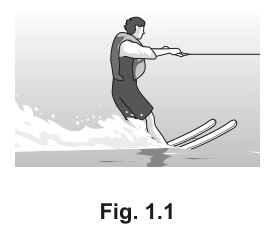 Fig. 1.1