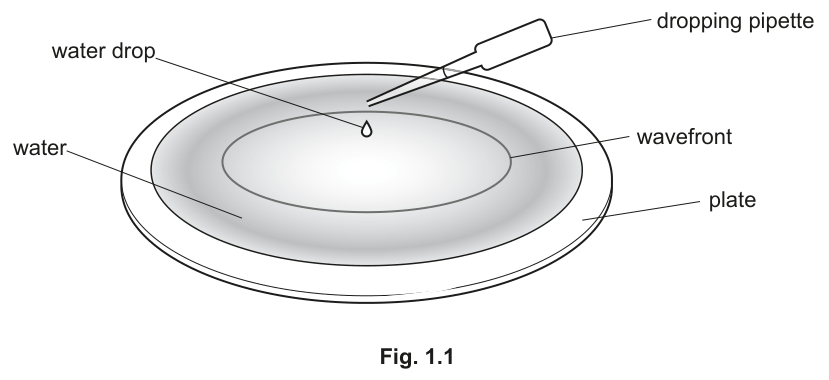 Fig. 1.1