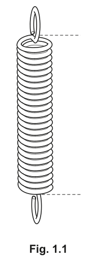 Fig. 1.1