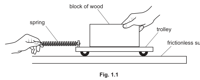Fig. 1.1