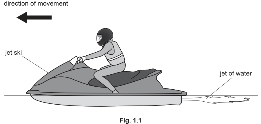 Fig. 1.1