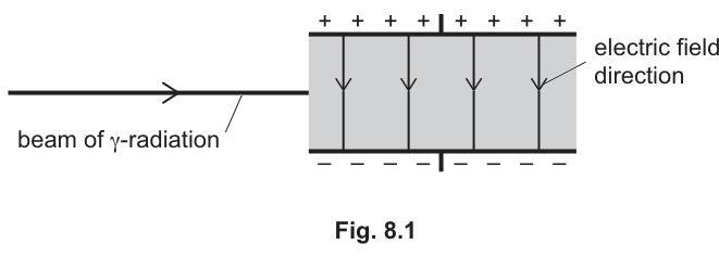 Fig. 8.1