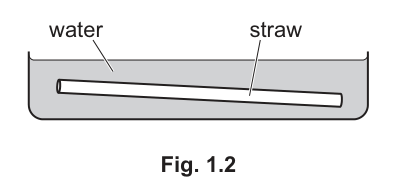 Fig. 1.2