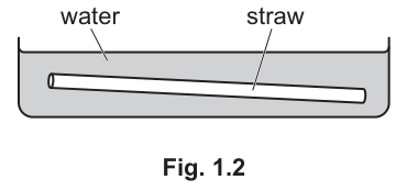 Fig. 1.2