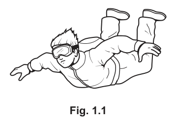 Fig. 1.1