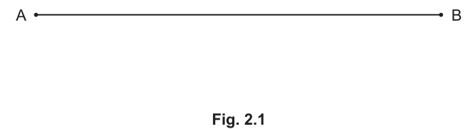 Fig. 2.1