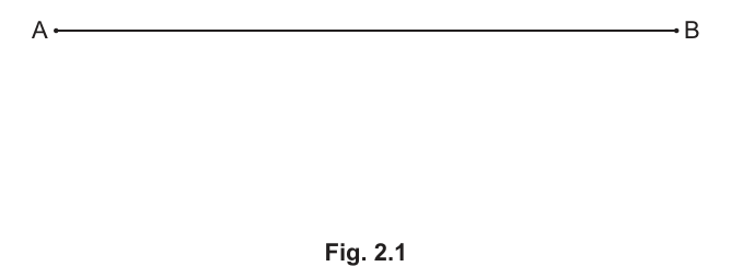 Fig. 2.1