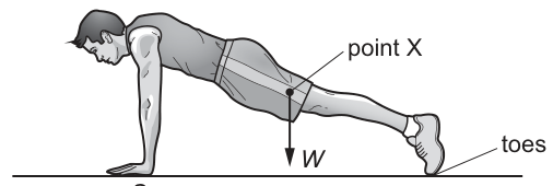 Fig. 5