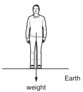 Fig. 9