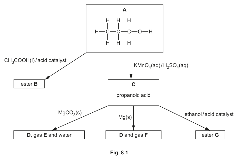 Fig. 8.1