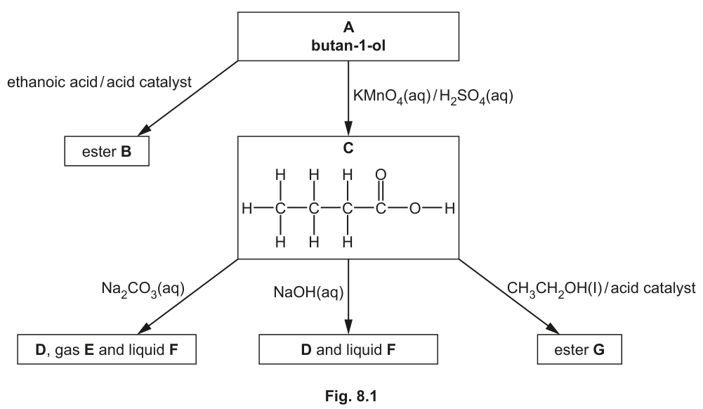 Fig. 8.1
