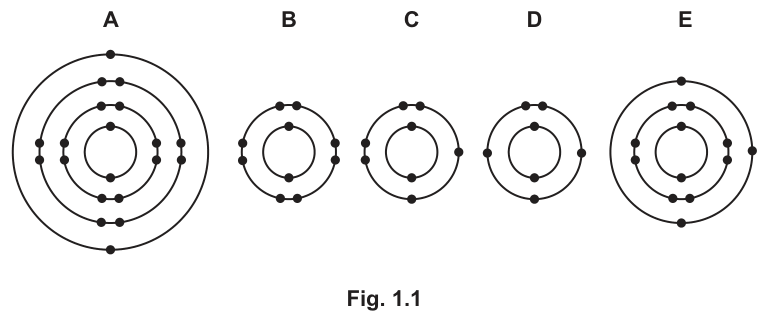 Fig. 1.1