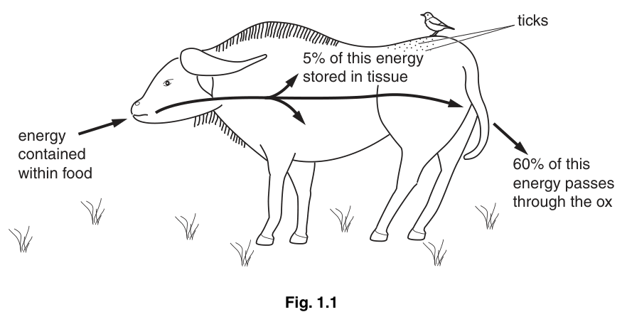 Fig. 1.1