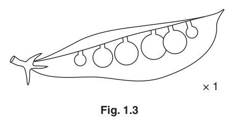 Fig. 1.3