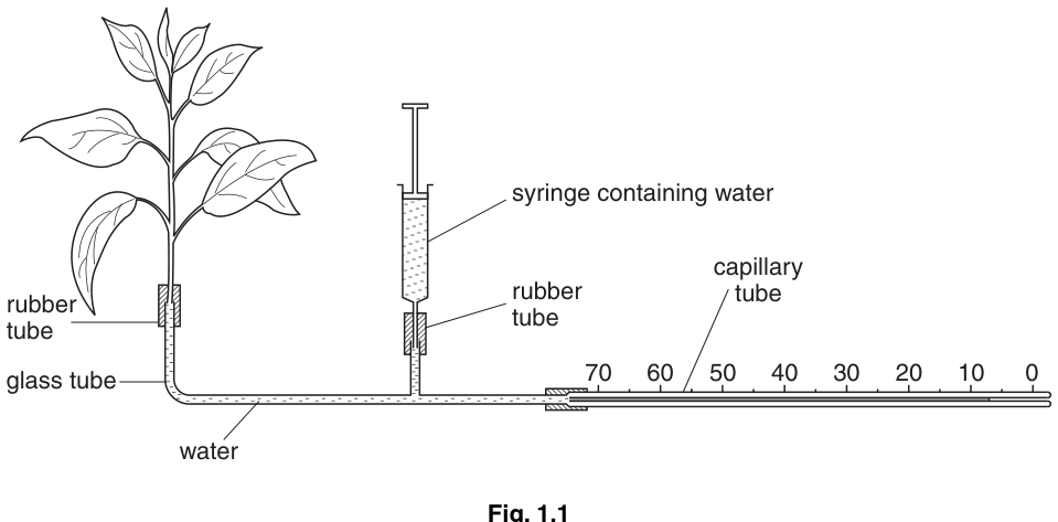 Fig. 1.1