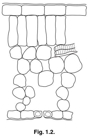 Fig. 1.2