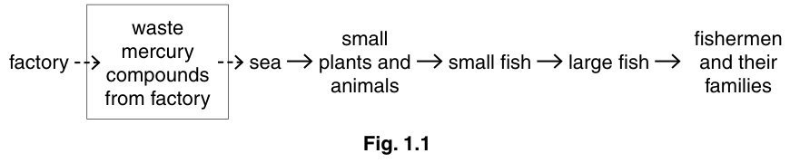 Fig. 1.1