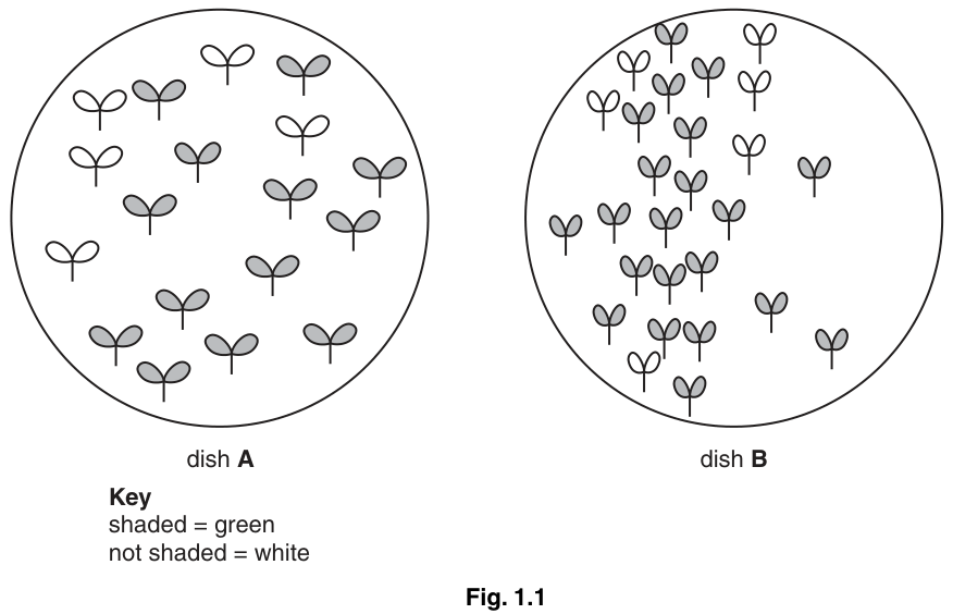 Fig. 1.1