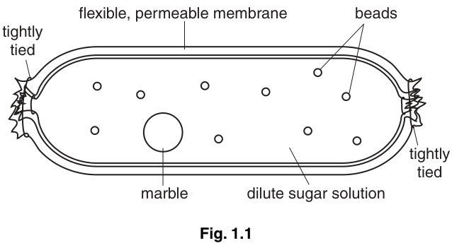 Fig. 1.1