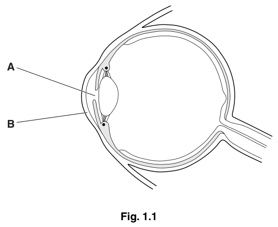 Fig. 1.1