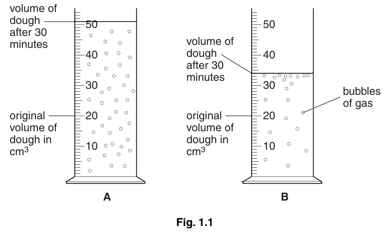 Fig. 1.1