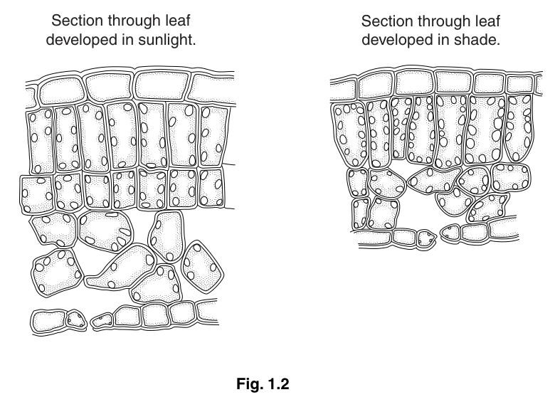 Fig. 1.2