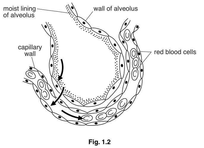 Fig. 1.2