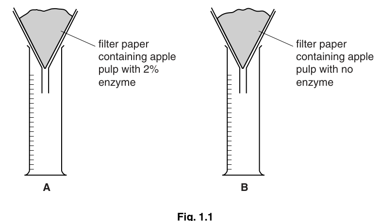 Fig. 1.1