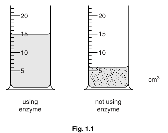 Fig. 1.1
