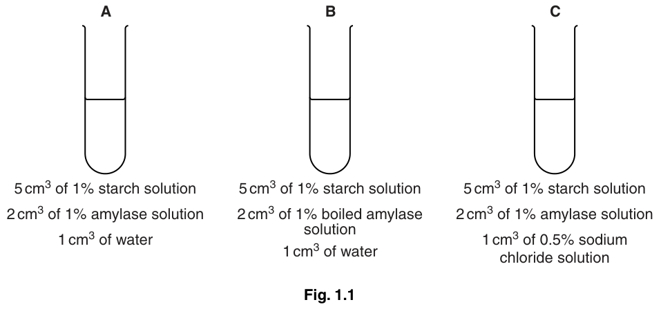 Fig. 1.1