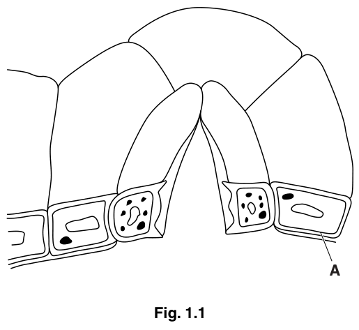 Fig. 1.1