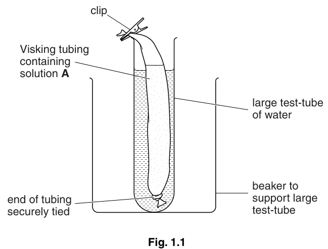 Fig. 1.1