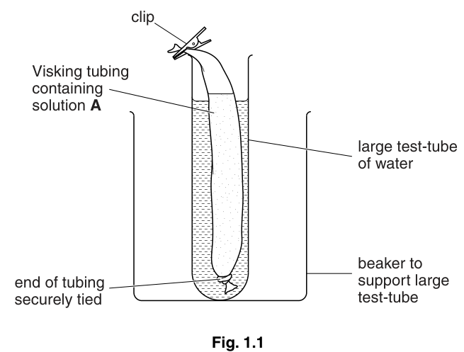 Fig. 1.1