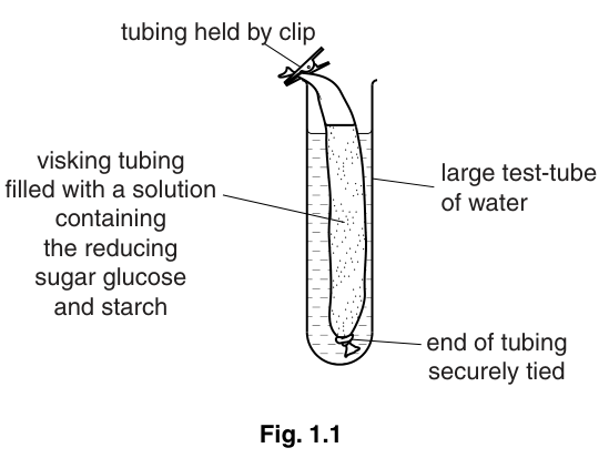 Fig. 1.1