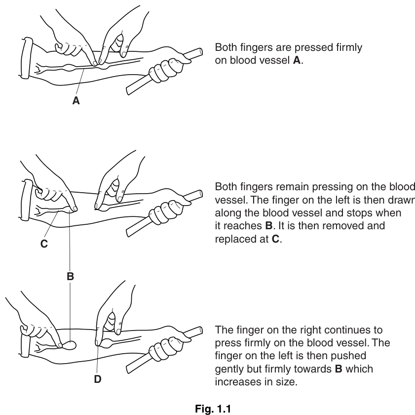 Fig. 1.1